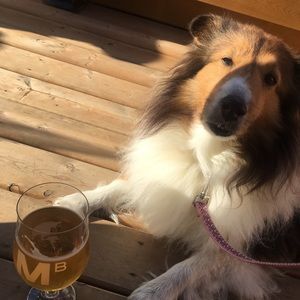 Meet your Posher, Robyn